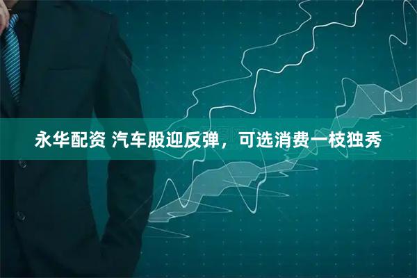 永华配资 汽车股迎反弹，可选消费一枝独秀