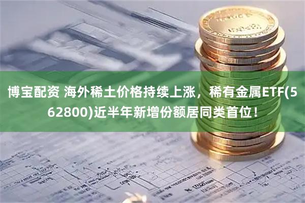 博宝配资 海外稀土价格持续上涨，稀有金属ETF(562800)近半年新增份额居同类首位！