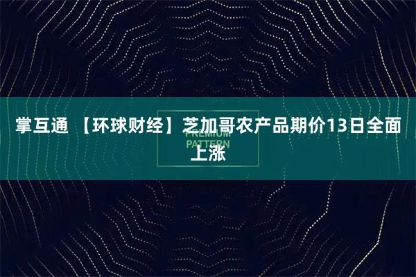 掌互通 【环球财经】芝加哥农产品期价13日全面上涨