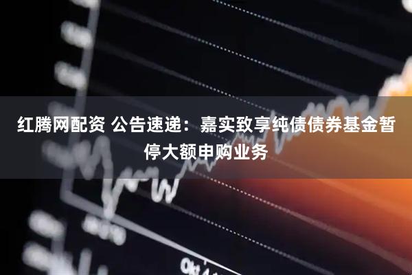 红腾网配资 公告速递：嘉实致享纯债债券基金暂停大额申购业务