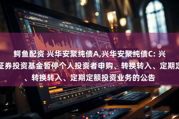 鳄鱼配资 兴华安聚纯债A,兴华安聚纯债C: 兴华安聚纯债债券型证券投资基金暂停个人投资者申购、转换转入、定期定额投资业务的公告