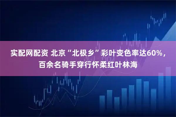 实配网配资 北京“北极乡”彩叶变色率达60%，百余名骑手穿行怀柔红叶林海