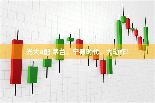 光大e配 茅台、宁德时代，大动作！