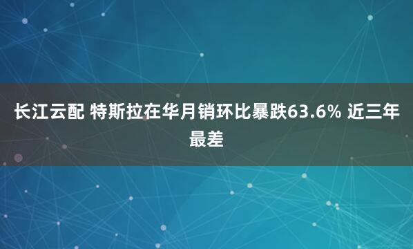 长江云配 特斯拉在华月销环比暴跌63.6% 近三年最差