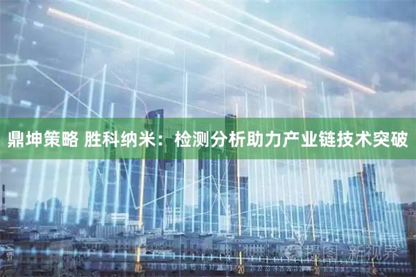 鼎坤策略 胜科纳米：检测分析助力产业链技术突破