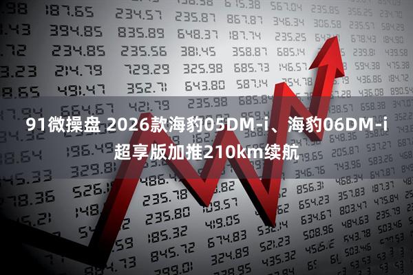 91微操盘 2026款海豹05DM-i、海豹06DM-i超享版加推210km续航