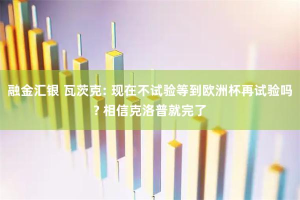 融金汇银 瓦茨克: 现在不试验等到欧洲杯再试验吗? 相信克洛普就完了